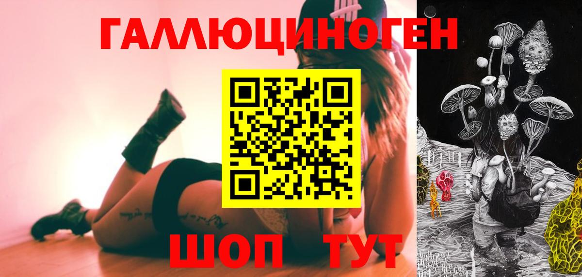 Мыски  Псилоцибиновые грибы Psilocybe  Вход с VPN 