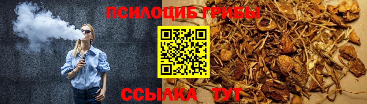 Галлюциногенные грибы GOLDEN TEACHER Мыски